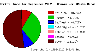 October 1st 2002 CA Market Share Pie Chart
