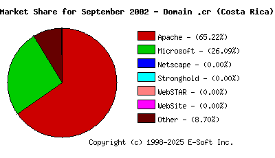 October 1st, 2002 Market Share Pie Chart