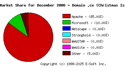 January 1st, 2007 Market Share Pie Chart
