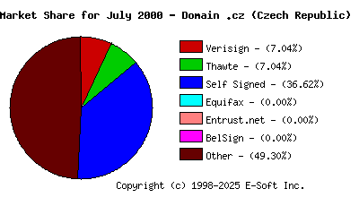 August 1st 2000 CA Market Share Pie Chart