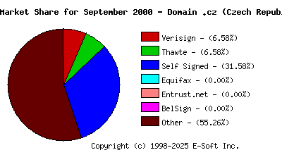 October 1st 2000 CA Market Share Pie Chart