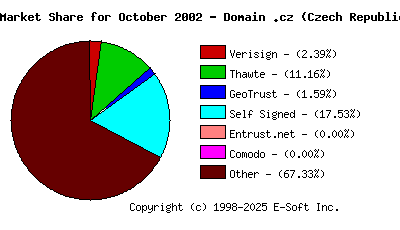November 1st 2002 CA Market Share Pie Chart