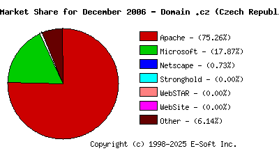 January 1st, 2007 Market Share Pie Chart