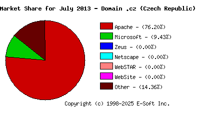 August 1st, 2013 Market Share Pie Chart