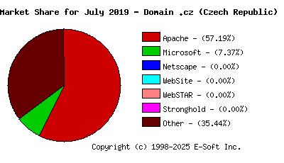 August 1st, 2019 Market Share Pie Chart