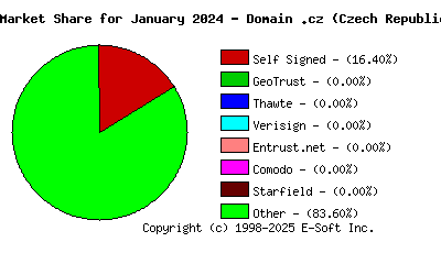February 1st 2024 CA Market Share Pie Chart