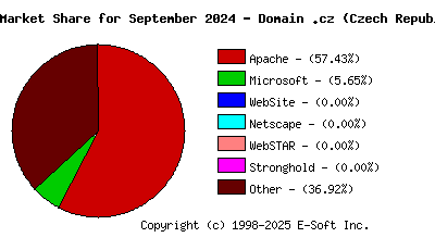 October 1st, 2024 Market Share Pie Chart