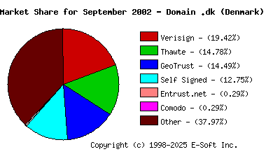 October 1st 2002 CA Market Share Pie Chart