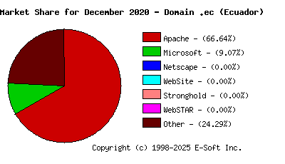 January 1st, 2021 Market Share Pie Chart
