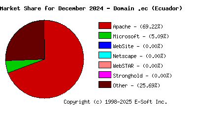 January 1st, 2025 Market Share Pie Chart