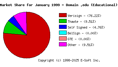 February 1st 1999 CA Market Share Pie Chart