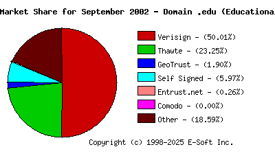 October 1st 2002 CA Market Share Pie Chart