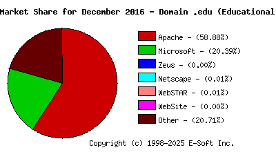 January 1st, 2017 Market Share Pie Chart