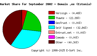 October 1st 2002 CA Market Share Pie Chart