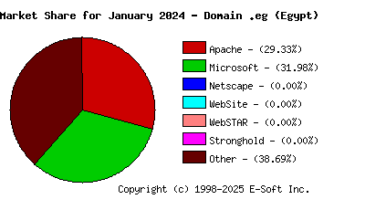 February 1st, 2024 Market Share Pie Chart