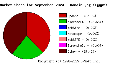 October 1st, 2024 Market Share Pie Chart