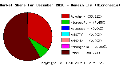 January 1st, 2017 Market Share Pie Chart