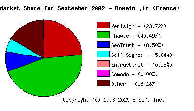 October 1st 2002 CA Market Share Pie Chart