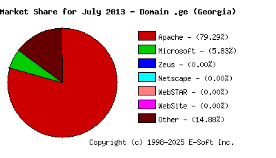 August 1st, 2013 Market Share Pie Chart
