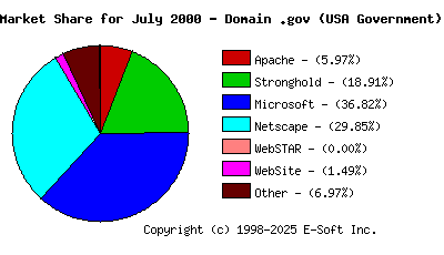 August 1st, 2000 Market Share Pie Chart