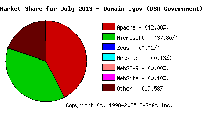 August 1st, 2013 Market Share Pie Chart