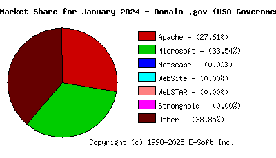 February 1st, 2024 Market Share Pie Chart