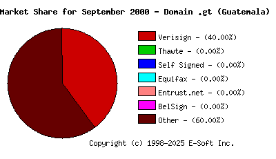 October 1st 2000 CA Market Share Pie Chart