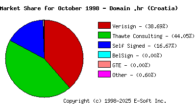 November 1st 1998 CA Market Share Pie Chart
