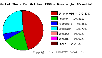 November 1st, 1998 Market Share Pie Chart