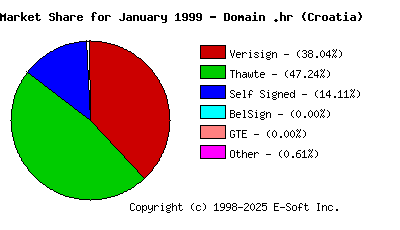 February 1st 1999 CA Market Share Pie Chart