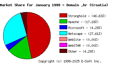 February 1st, 1999 Market Share Pie Chart