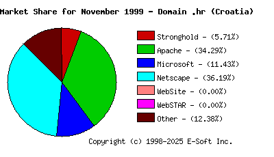 December 1st, 1999 Market Share Pie Chart