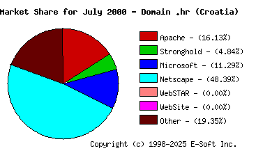 August 1st, 2000 Market Share Pie Chart
