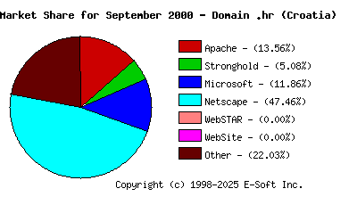 October 1st, 2000 Market Share Pie Chart