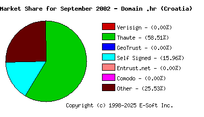 October 1st 2002 CA Market Share Pie Chart