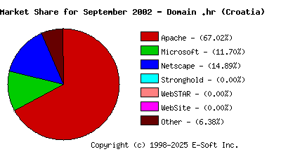 October 1st, 2002 Market Share Pie Chart