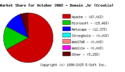 November 1st, 2002 Market Share Pie Chart