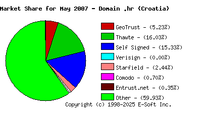June 1st 2007 CA Market Share Pie Chart