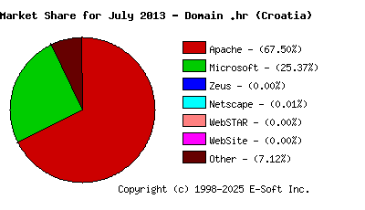 August 1st, 2013 Market Share Pie Chart