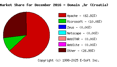 January 1st, 2017 Market Share Pie Chart