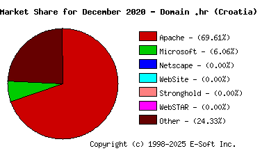 January 1st, 2021 Market Share Pie Chart