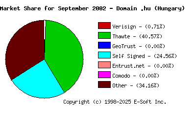 October 1st 2002 CA Market Share Pie Chart