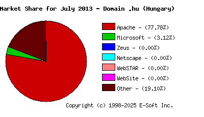 August 1st, 2013 Market Share Pie Chart