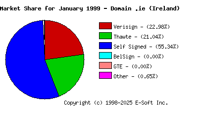 February 1st 1999 CA Market Share Pie Chart