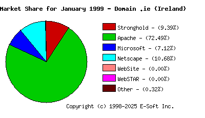 February 1st, 1999 Market Share Pie Chart