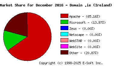 January 1st, 2017 Market Share Pie Chart