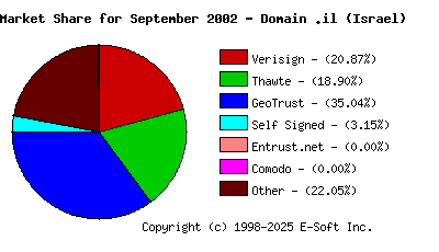 October 1st 2002 CA Market Share Pie Chart
