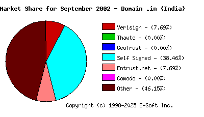 October 1st 2002 CA Market Share Pie Chart