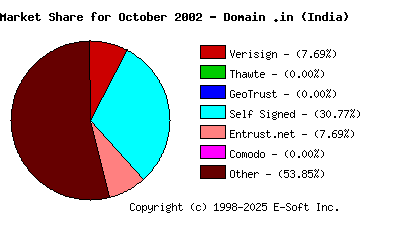 November 1st 2002 CA Market Share Pie Chart