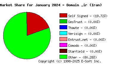 February 1st 2024 CA Market Share Pie Chart